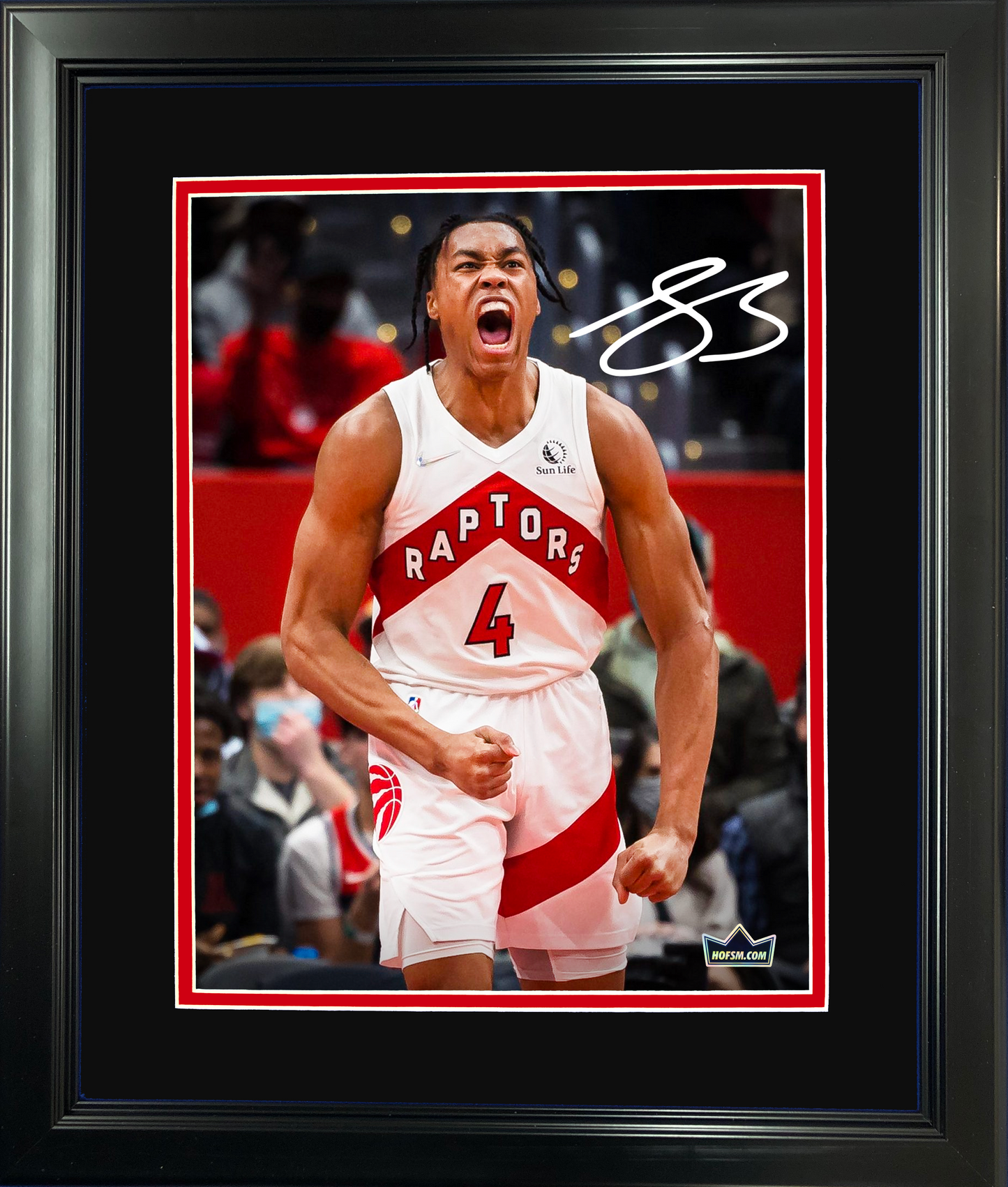 Framed Scottie Barnes Toronto Raptors Facsimile Laser Engraved Signature Auto 11"x14"Basketball Photo HOFSM Holo