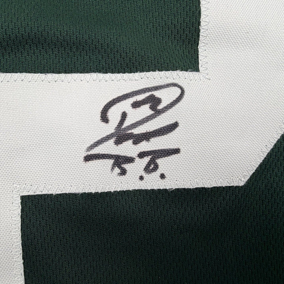Framed Autographed/Signed Don Beebe 35x39 Green Bay Green Football Jersey JSA COA