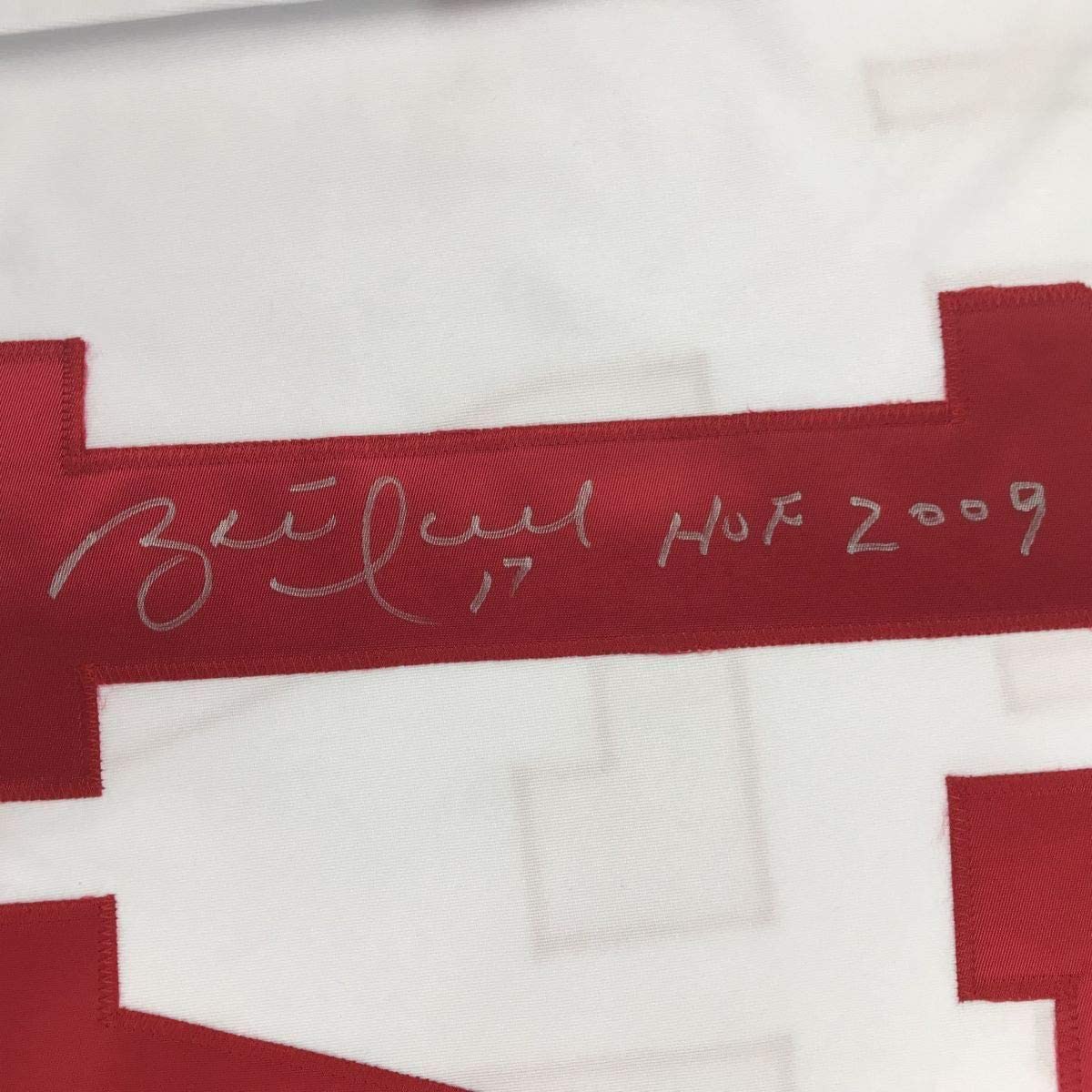 Framed Autographed/Signed Brett Hull HOF 2009 33x42 Detroit White Hockey Jersey JSA COA