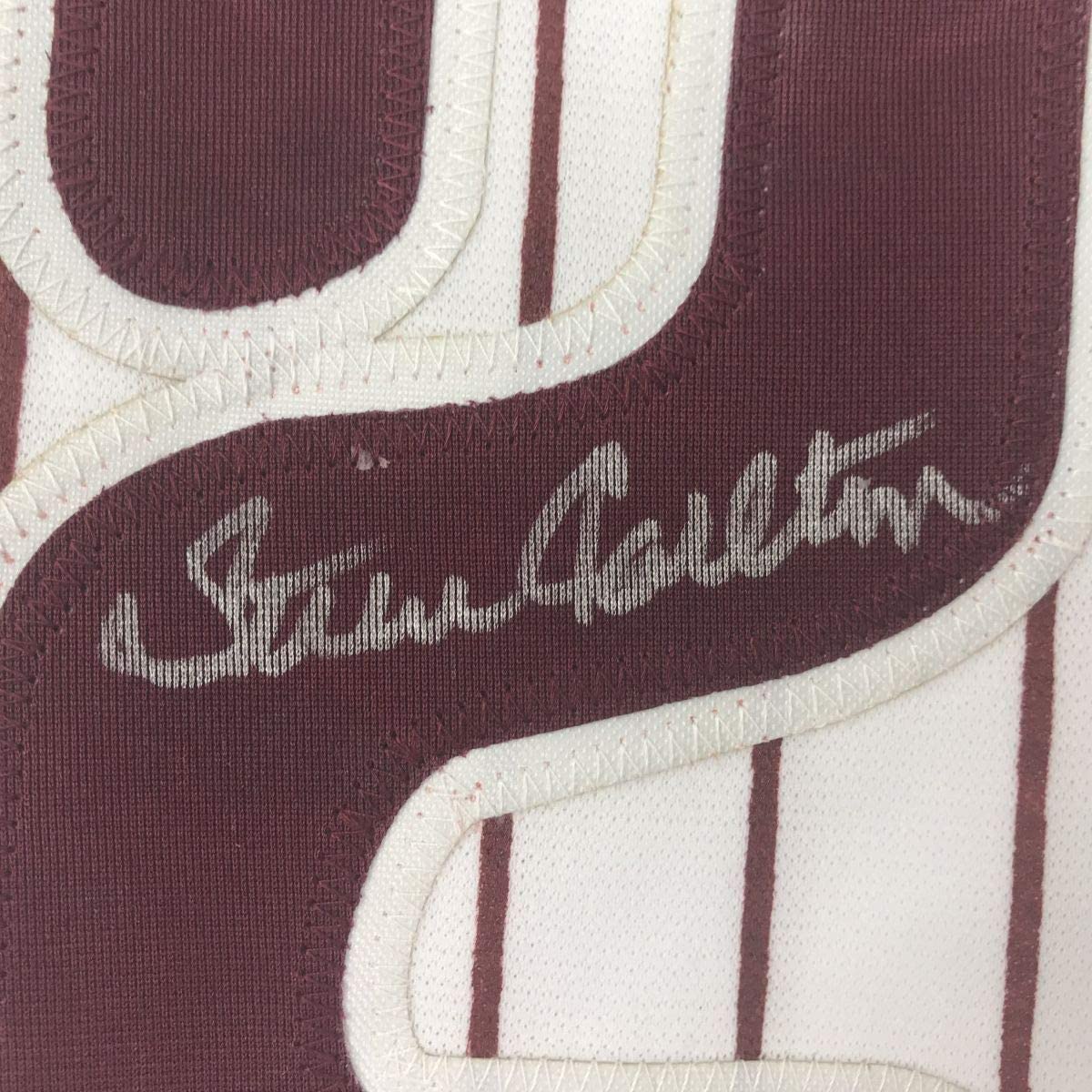 Framed Autographed/Signed Steve Carlton 33x42 Philadelphia Pinstripe Baseball Jersey JSA COA