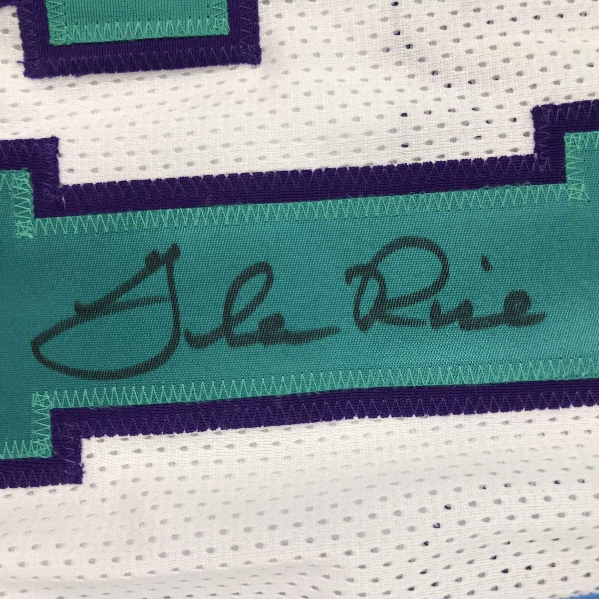 Framed Autographed/Signed Glen Rice 33x42 Charlotte White Basketball Jersey PSA/DNA COA