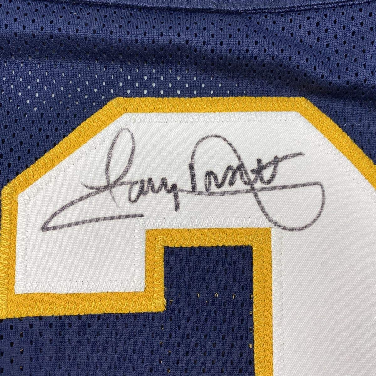 Framed Autographed/Signed Tony Dorsett 33x42 Pittsburgh Blue College Football Jersey JSA COA