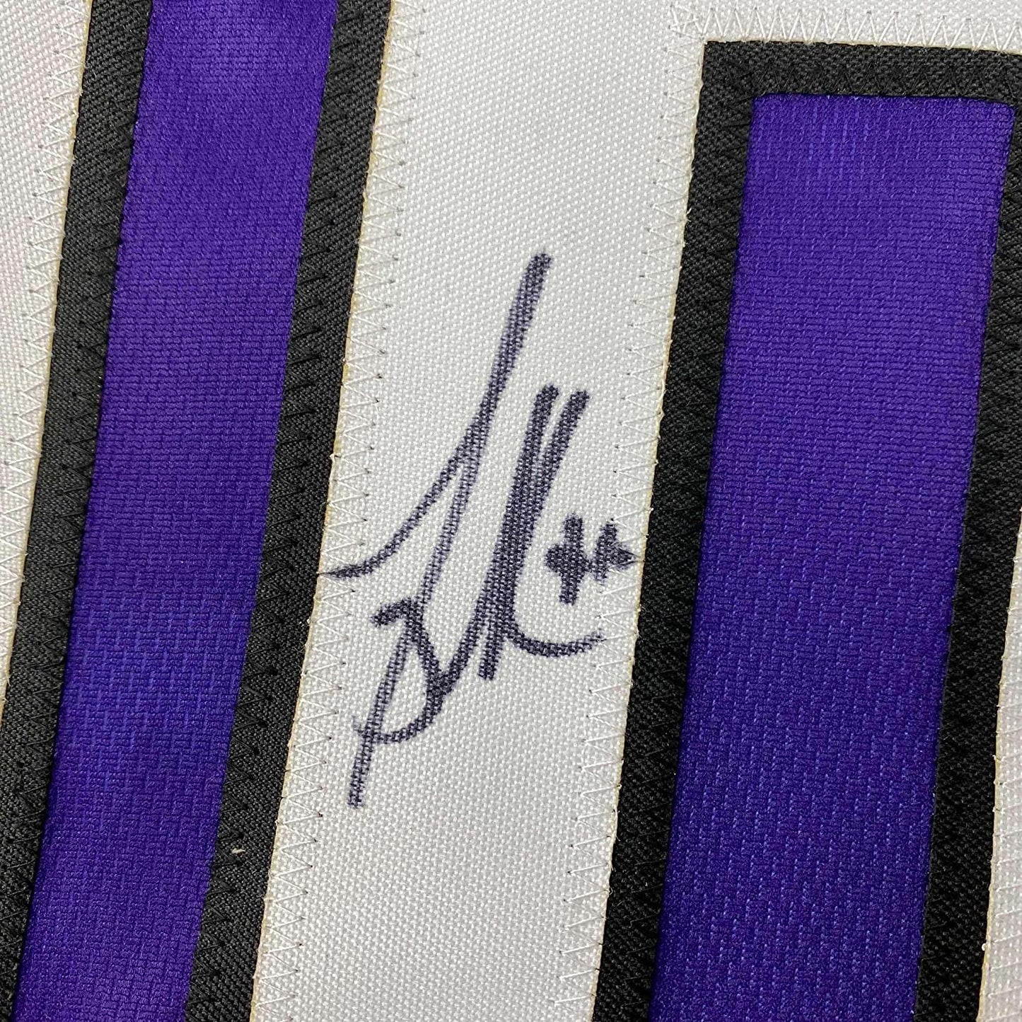 Framed Autographed/Signed Mike Bibby 35x39 Sacramento Purple Basketball Jersey Steiner COA