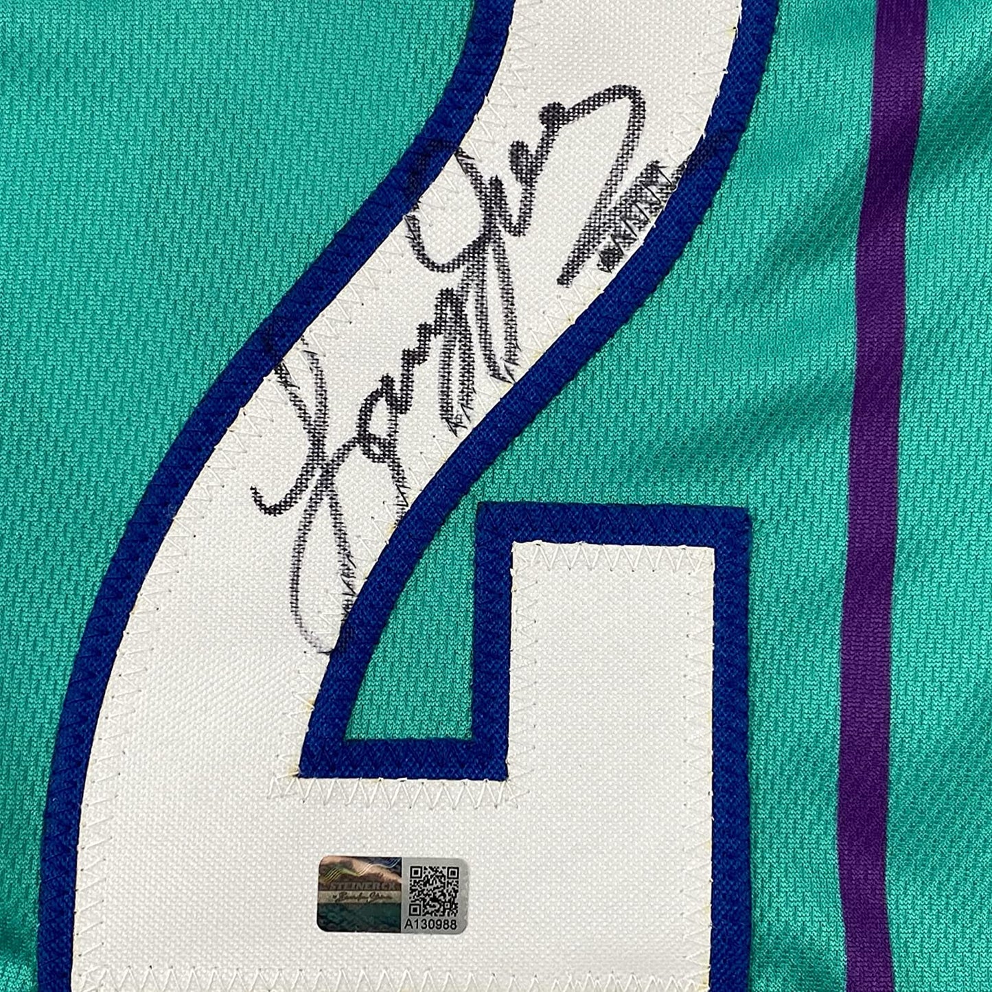 Framed Autographed/Signed Larry Johnson 35x39 Charlotte Teal Basketball Jersey Steiner COA