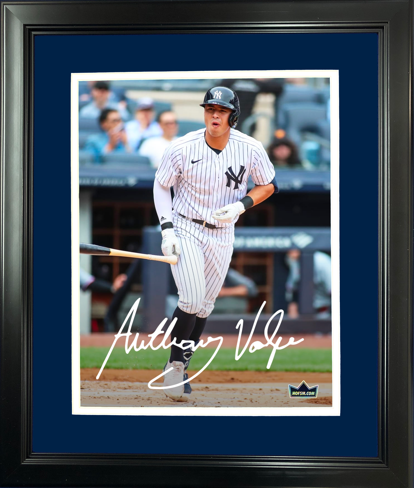 Framed Anthony Volpe Facsimile Laser Engraved Signature Auto New York Yankees 11"x14"Baseball Photo HOFSM Holo