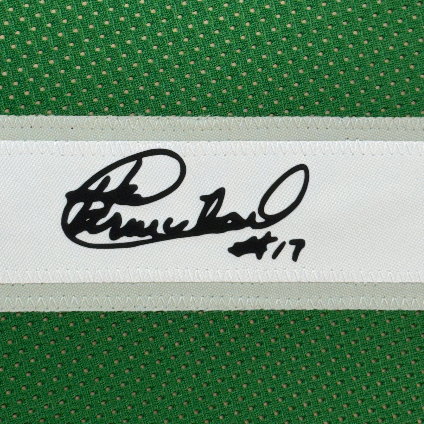Framed Facsimile Autographed Harold Carmichael 35x39 Philadelphia Kelly Green Reprint Laser Auto Football Jersey