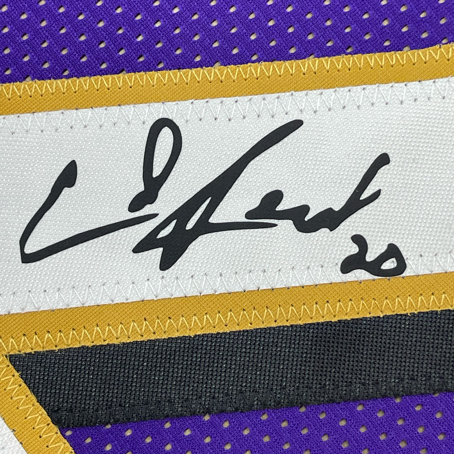 Framed Facsimile Autographed Ed Reed 35x39 Baltimore Purple Reprint Laser Auto Football Jersey Size Men's XL