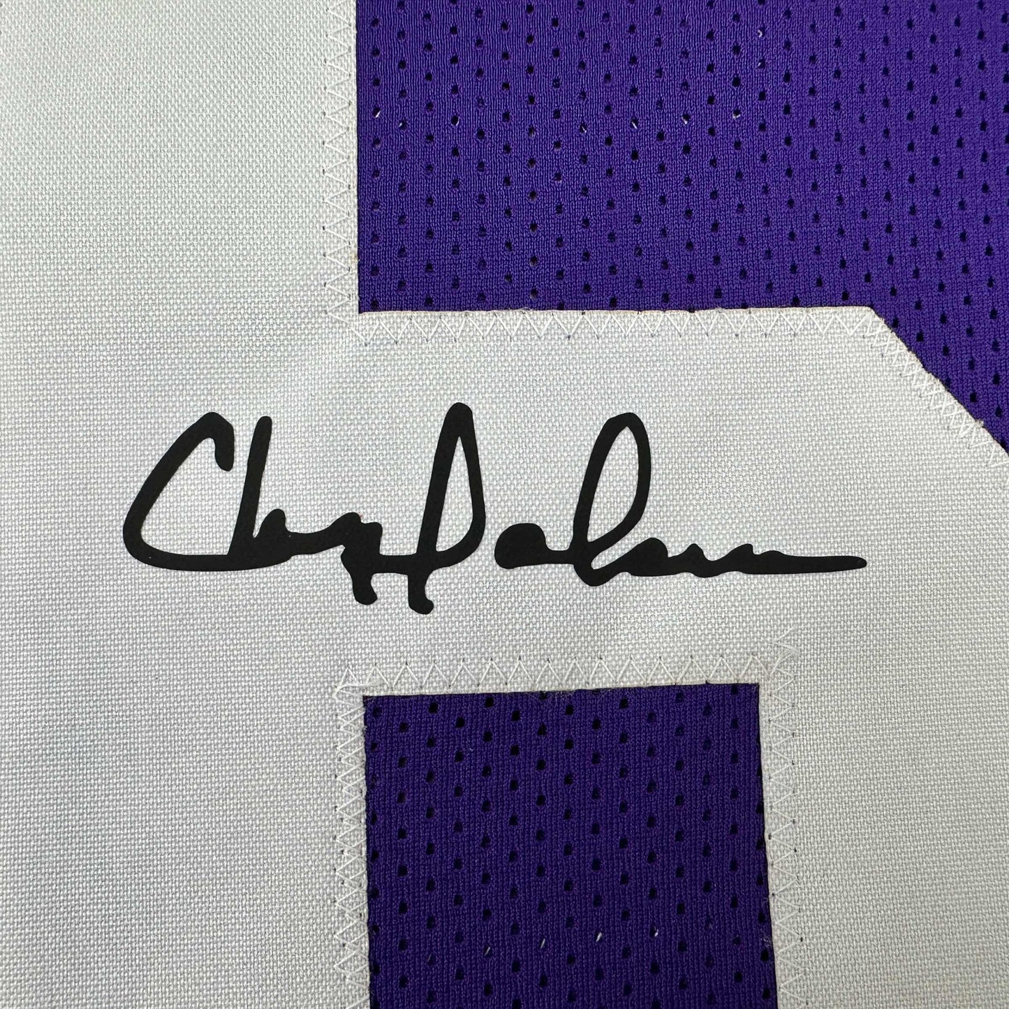 Framed Facsimile Autographed Chris Doleman 35x39 Minnesota Purple Reprint Laser Auto Football Jersey