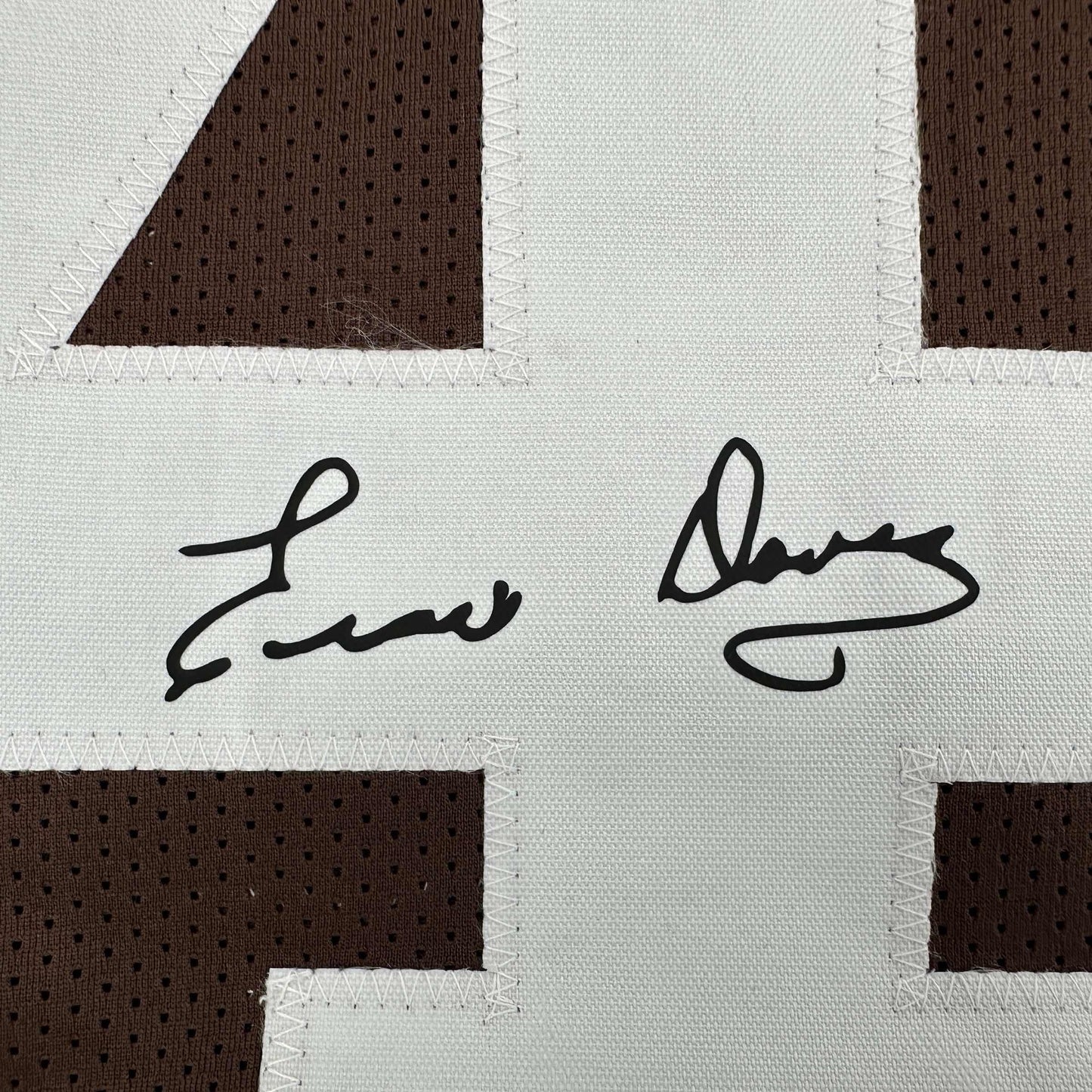 Framed Facsimile Autographed Ernie Davis 35x39 Cleveland Brown Reprint Laser Auto Football Jersey