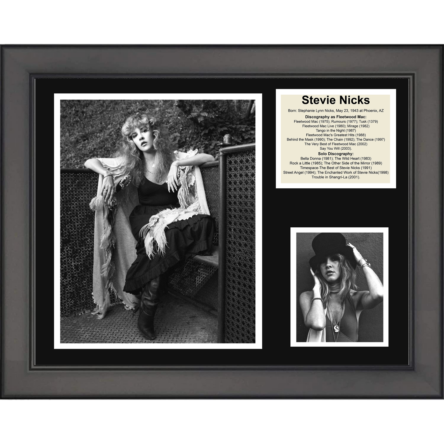 Framed Stevie Steve Nicks Discography 11"x14" Music Three Photo Collage