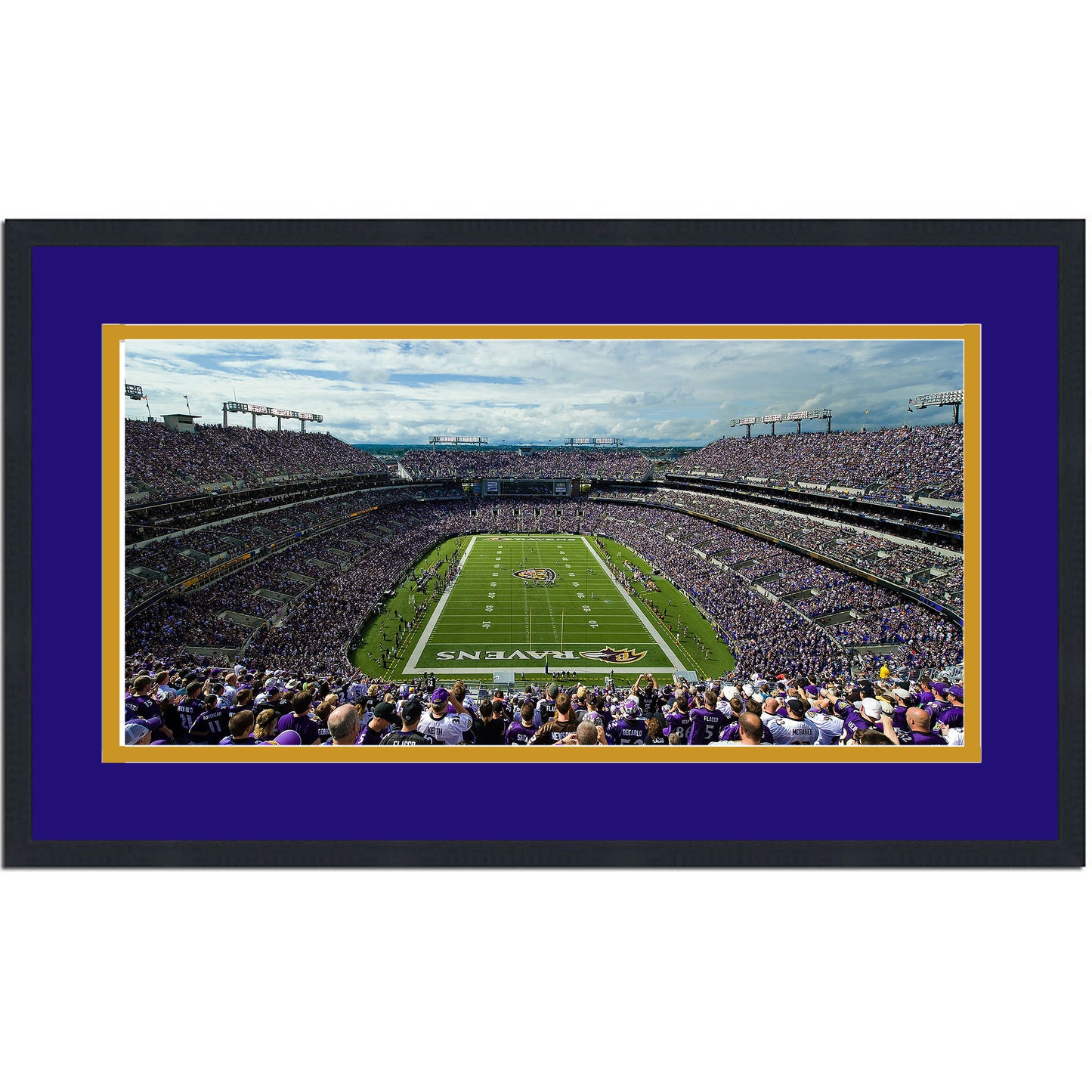 Framed MT&T Bank Stadium Baltimore Ravens 16x24 Football Photo Professionally Matted