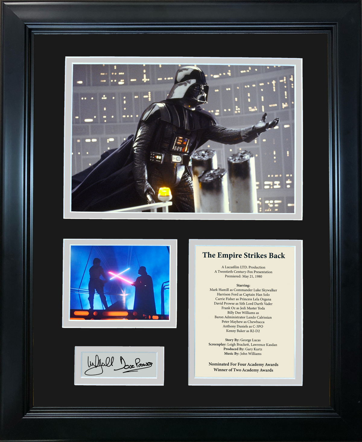 Framed Star Wars: The Empire Strikes Back David Prowse and Mark Hamill Dual Facsimile Laser Engraved Signature Auto 11"x14"Movie Photo Sig Collage