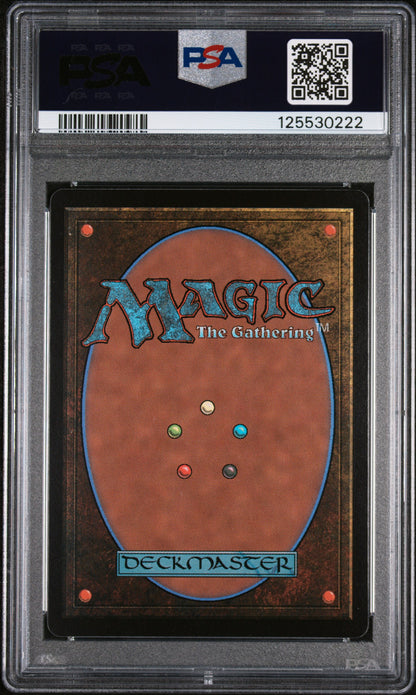 Graded 2025 Magic The Gathering Final Fantasy Summon: Fat Chocobo #0317 Woodblock Borderless Foil Card PSA 10 Gem Mint