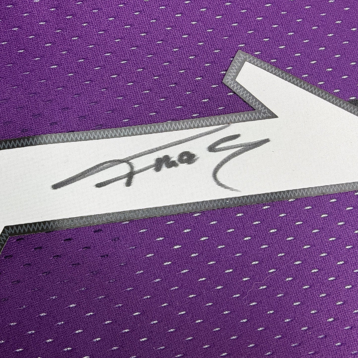 Autographed/Signed Tracy McGrady Toronto Raptors Purple Mitchell & Ness Authentic Basketball Jersey Fanatics COA