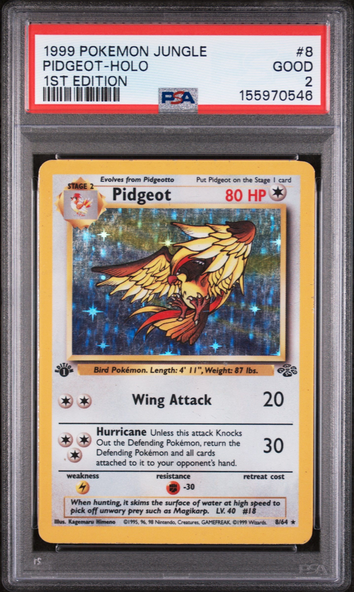 Downloaded image for product cmqx8pi0j1t3fnz07kirz1jd0
