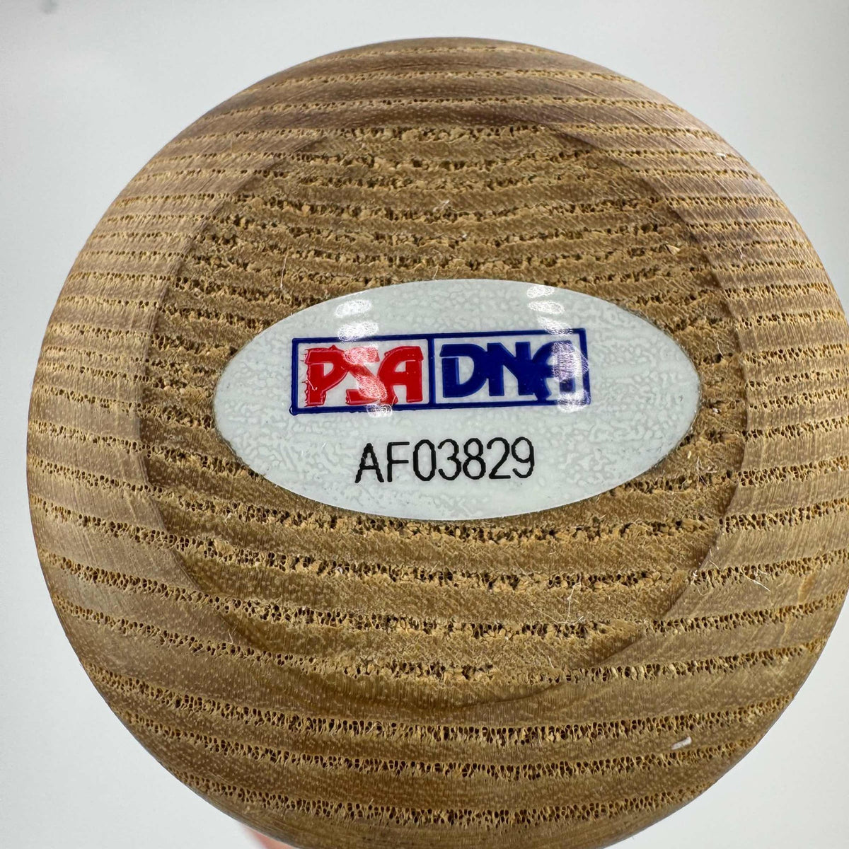 Downloaded image for product cmt80d93e19r6pf08iuv7m62r