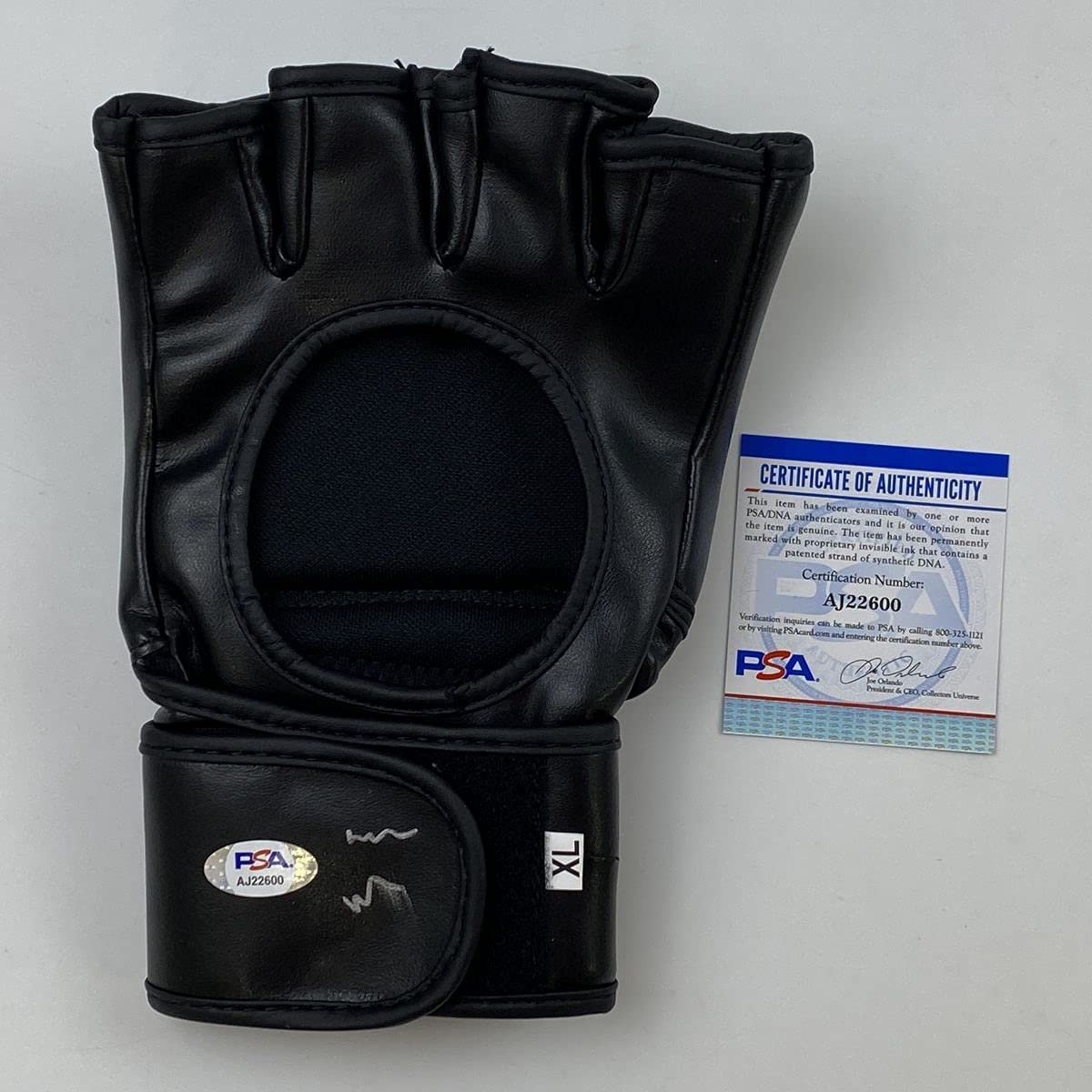 Downloaded image for product cmt80dwxn1ubapf0868prxwdn