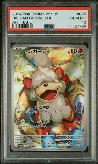 Downloaded image for product cmt9b4r9w0dg2pn0788iav4p8