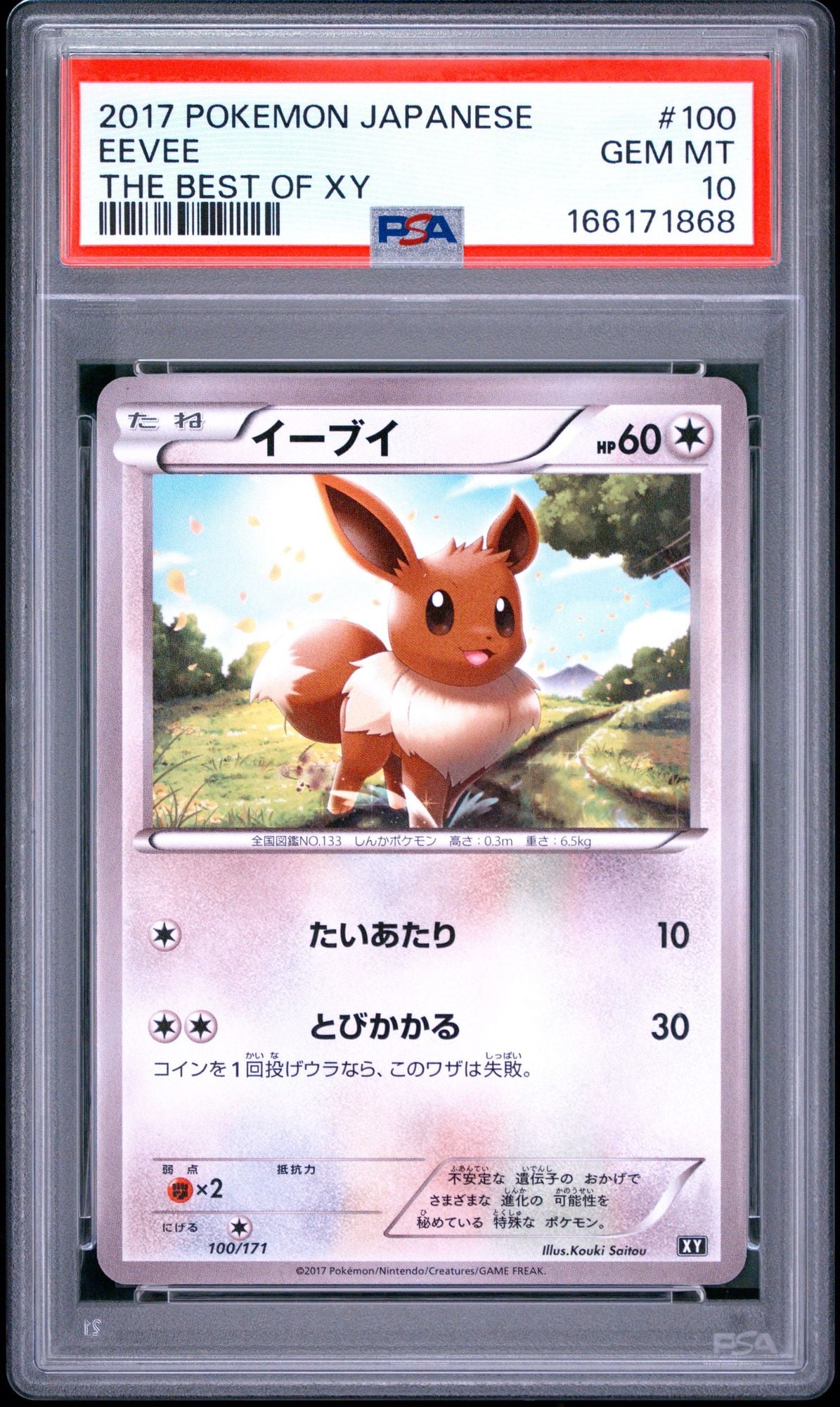 Graded 2017 Pokemon Japanese Eevee #100 Best of XY Trading Card Game PSA 10 Gem Mint