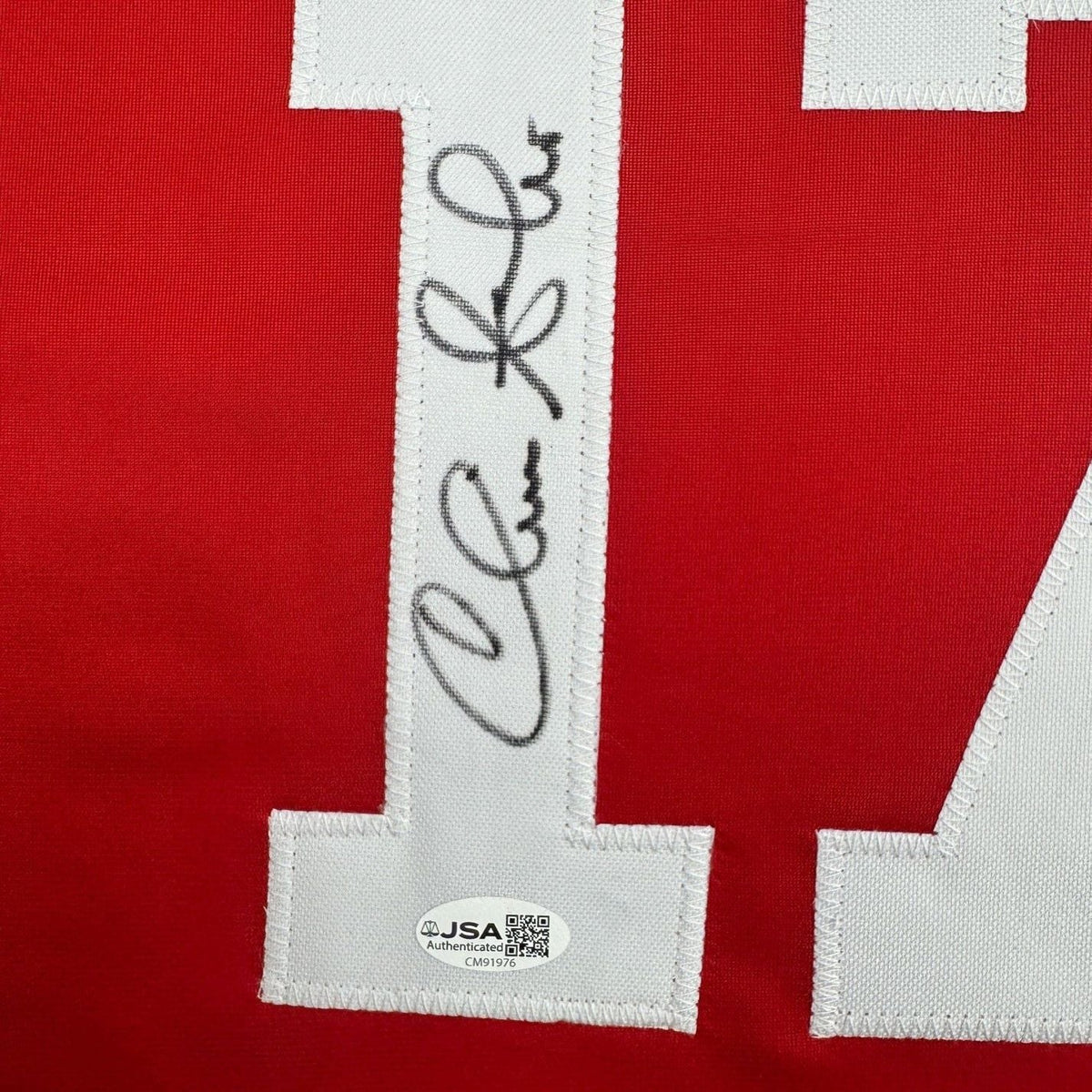 Framed Autographed/Signed Chris Sabo 35x39 Cincinnati Red Baseball Jersey JSA COA