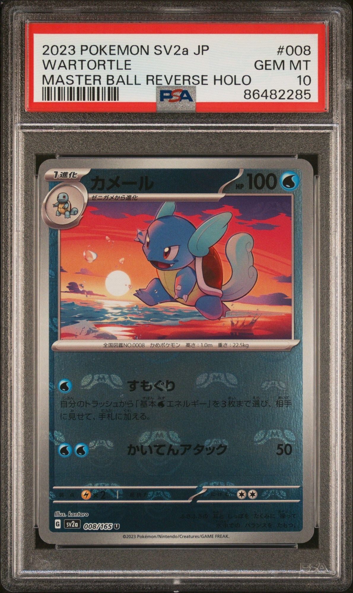 Graded 2023 Pokemon Japanese SV2a Wartortle #008 Master Ball Reverse Holo Trading Card Game PSA 10 Gem Mint
