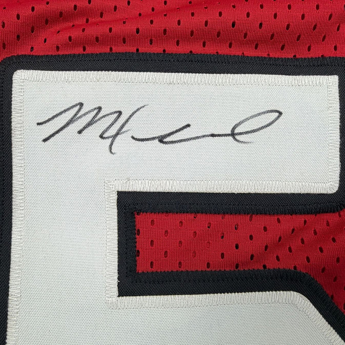 Framed Autographed/Signed Michael Floyd 35x39 Arizona Red Football Jersey JSA COA