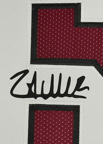 Framed Facsimile Autographed LaNorris Sellers 35x39 South Carolina Maroon Reprint Laser Auto College Football Jersey