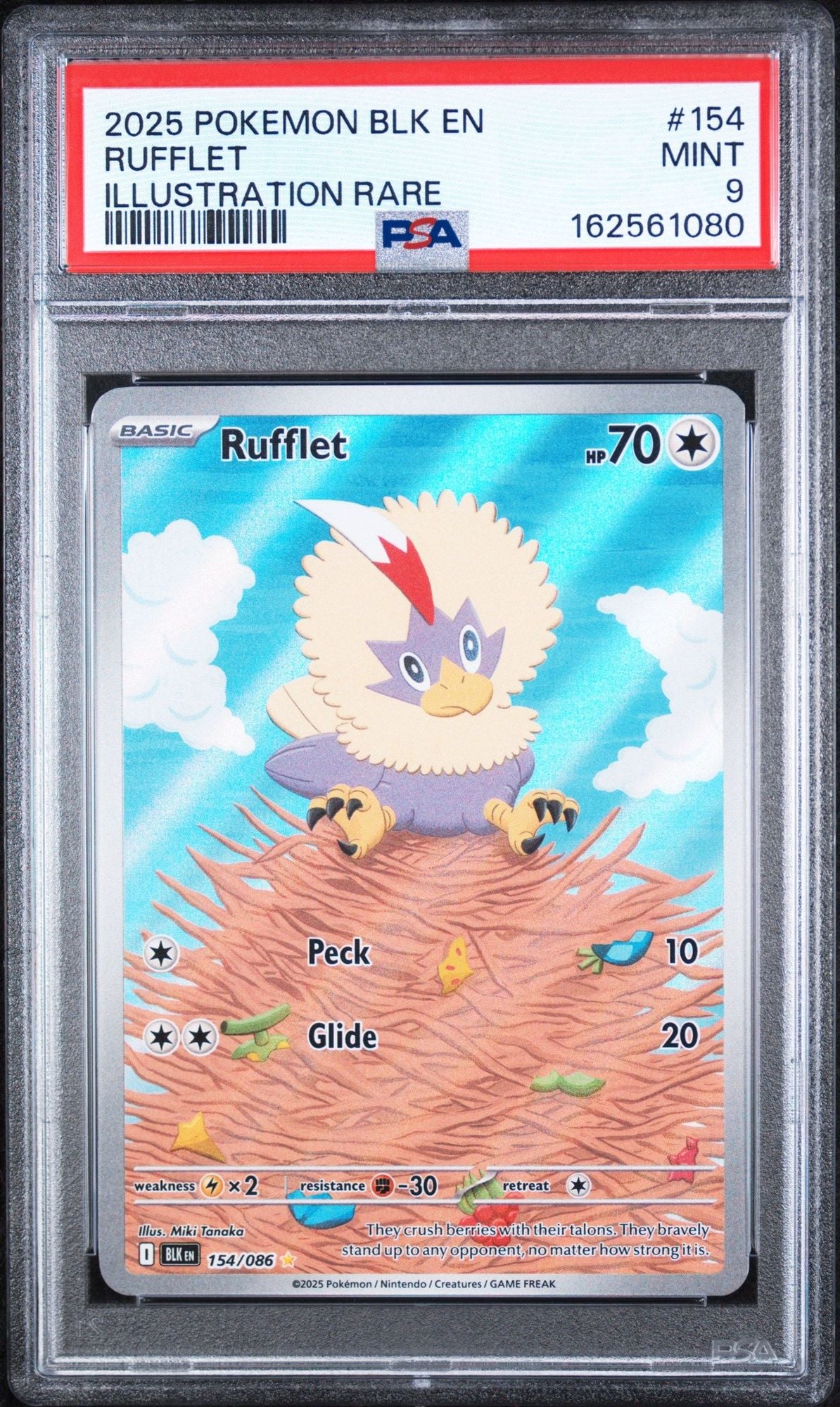 Graded 2025 Pokemon BLK EN Rufflet #154 Illustration Rare Trading Card Game PSA 9 Mint