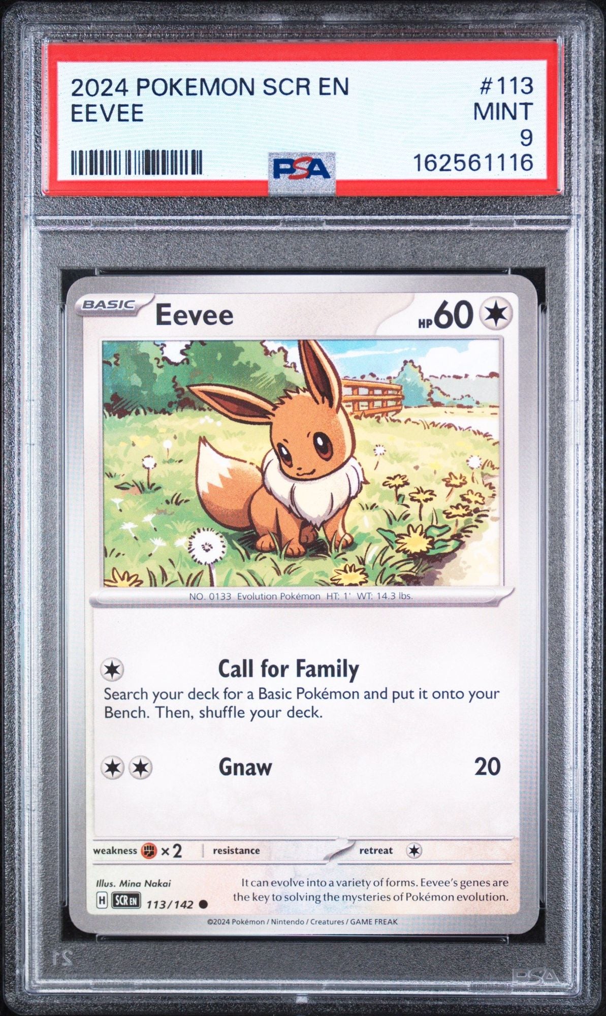 Graded 2024 Pokemon SCR EN Eevee #113 Trading Card Game PSA 9 Mint