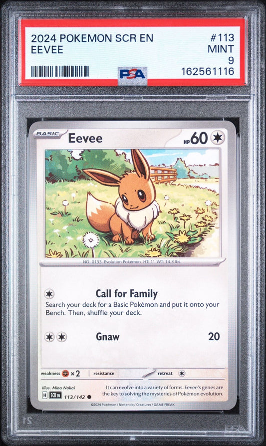 Graded 2024 Pokemon SCR EN Eevee #113 Trading Card Game PSA 9 Mint