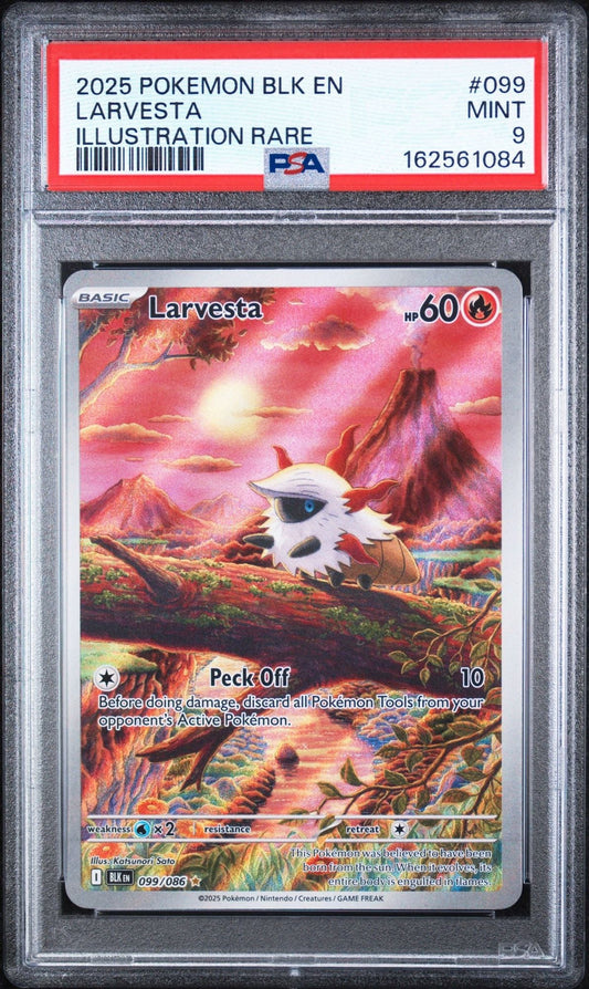 Graded 2025 Pokemon BLK EN Larvesta #099 Illustration Rare Trading Card Game PSA 9 Mint