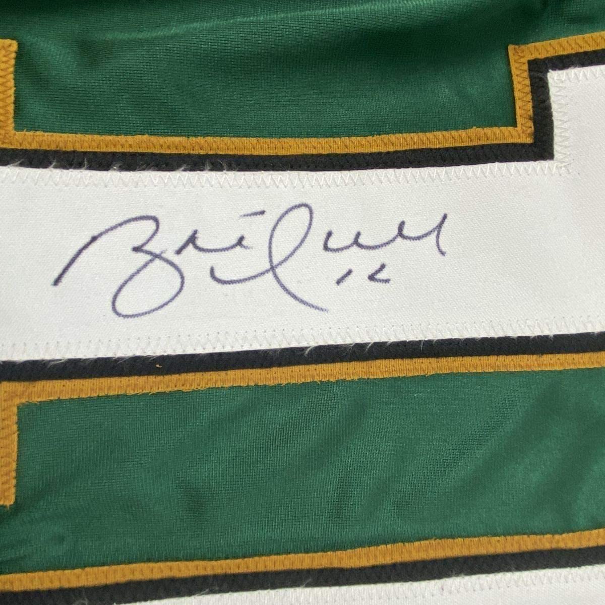 Framed Autographed/Signed Brett Hull #16 33x42 Dallas Green Hockey Jersey JSA COA