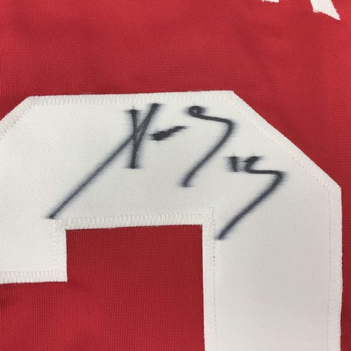 Framed Autographed/Signed Pavel Datsyuk 33x42 Detroit Red Hockey Jersey Beckett BAS COA Holo Only