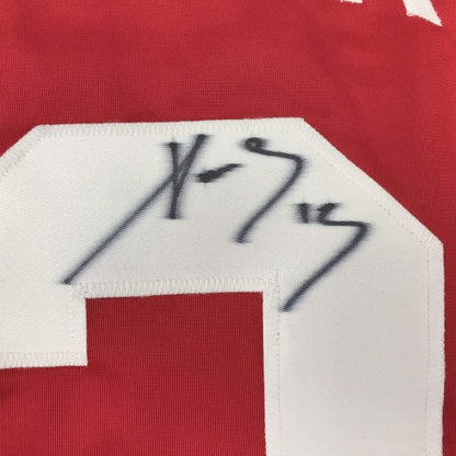 Framed Autographed/Signed Pavel Datsyuk 33x42 Detroit Red Hockey Jersey Beckett BAS COA Holo Only