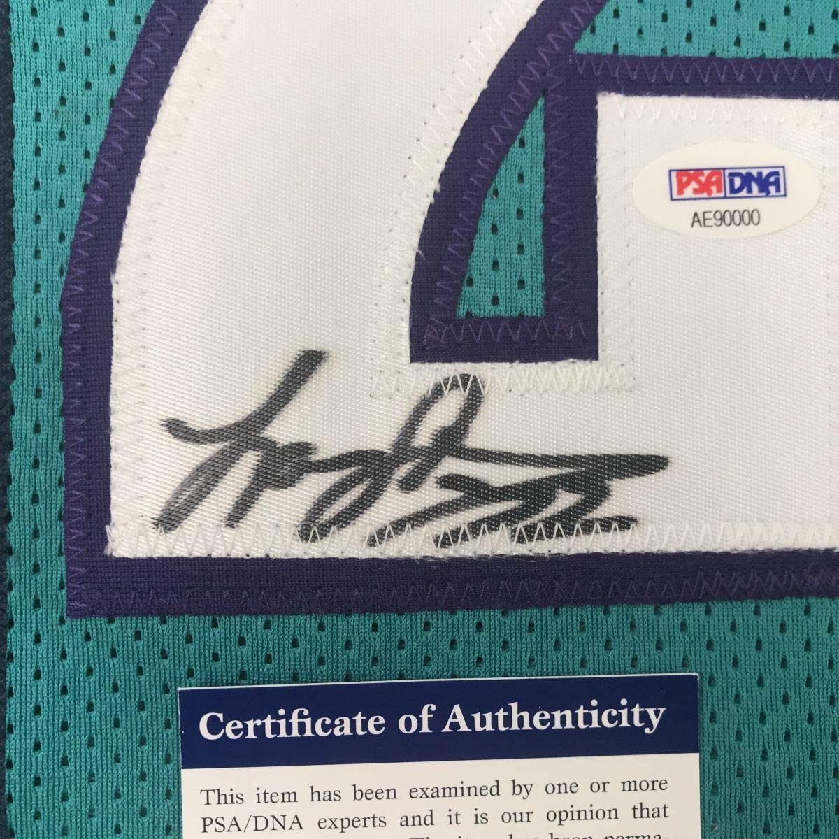 Framed Autographed/Signed Larry Johnson 33x42 Charlotte Teal Basketball Jersey PSA/DNA COA