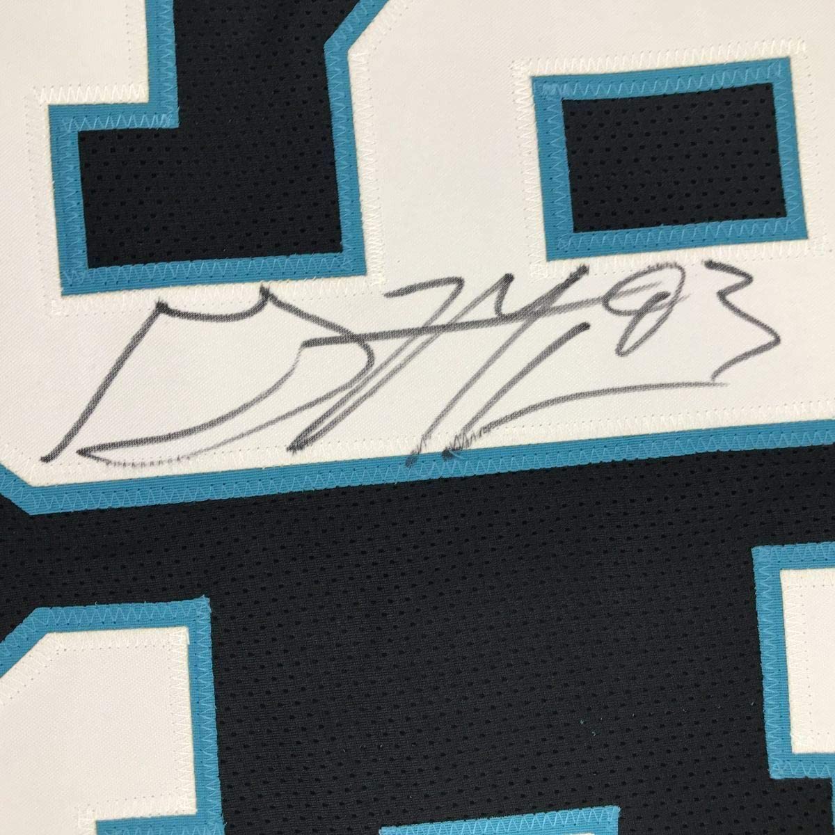Framed Autographed/Signed Gerald McCoy 33x42 Carolina Black Football Jersey Beckett BAS COA
