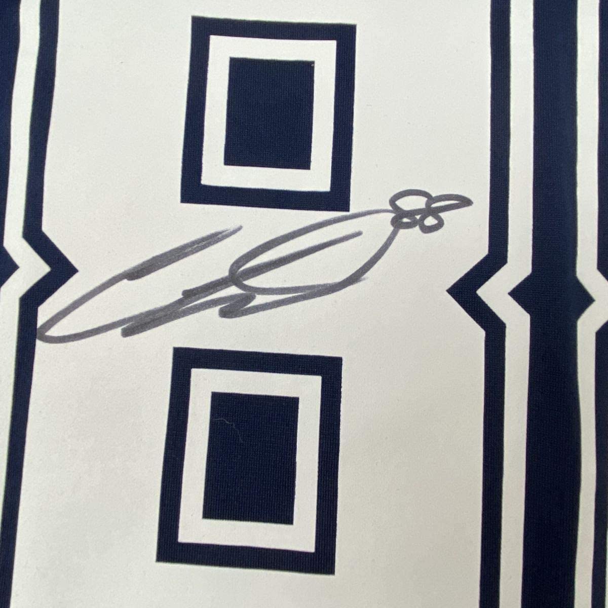 Framed Autographed/Signed CeeDee Lamb 33x42 Dallas Cowboys Blue Authentic Nike Game Football Jersey Fanatics COA