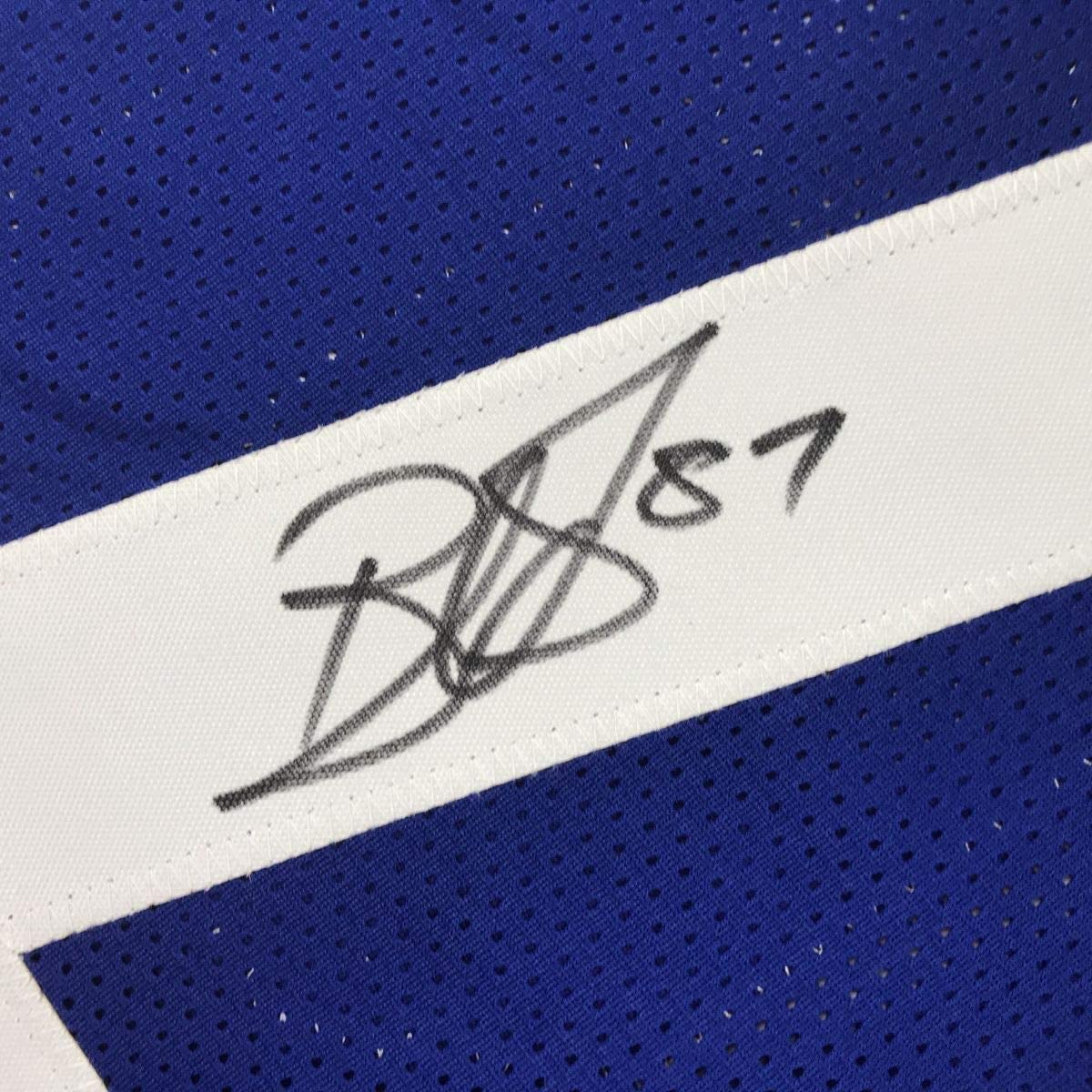 Framed Autographed/Signed Reggie Wayne 33x42 Indianapolis Blue Football Jersey JSA COA