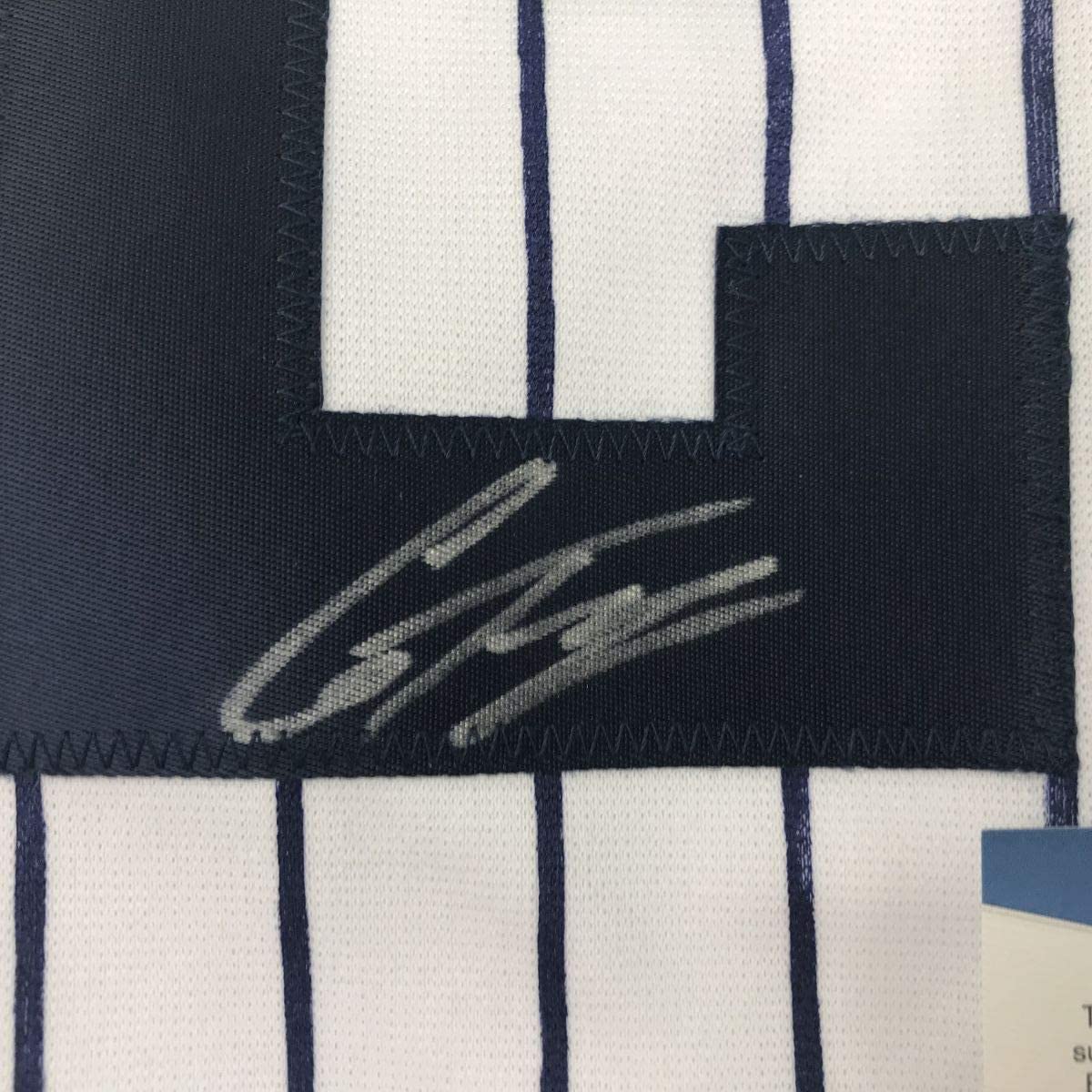 Framed Autographed/Signed Gleyber Torres 33x42 New York #25 Pinstripe Baseball Jersey Beckett BAS COA