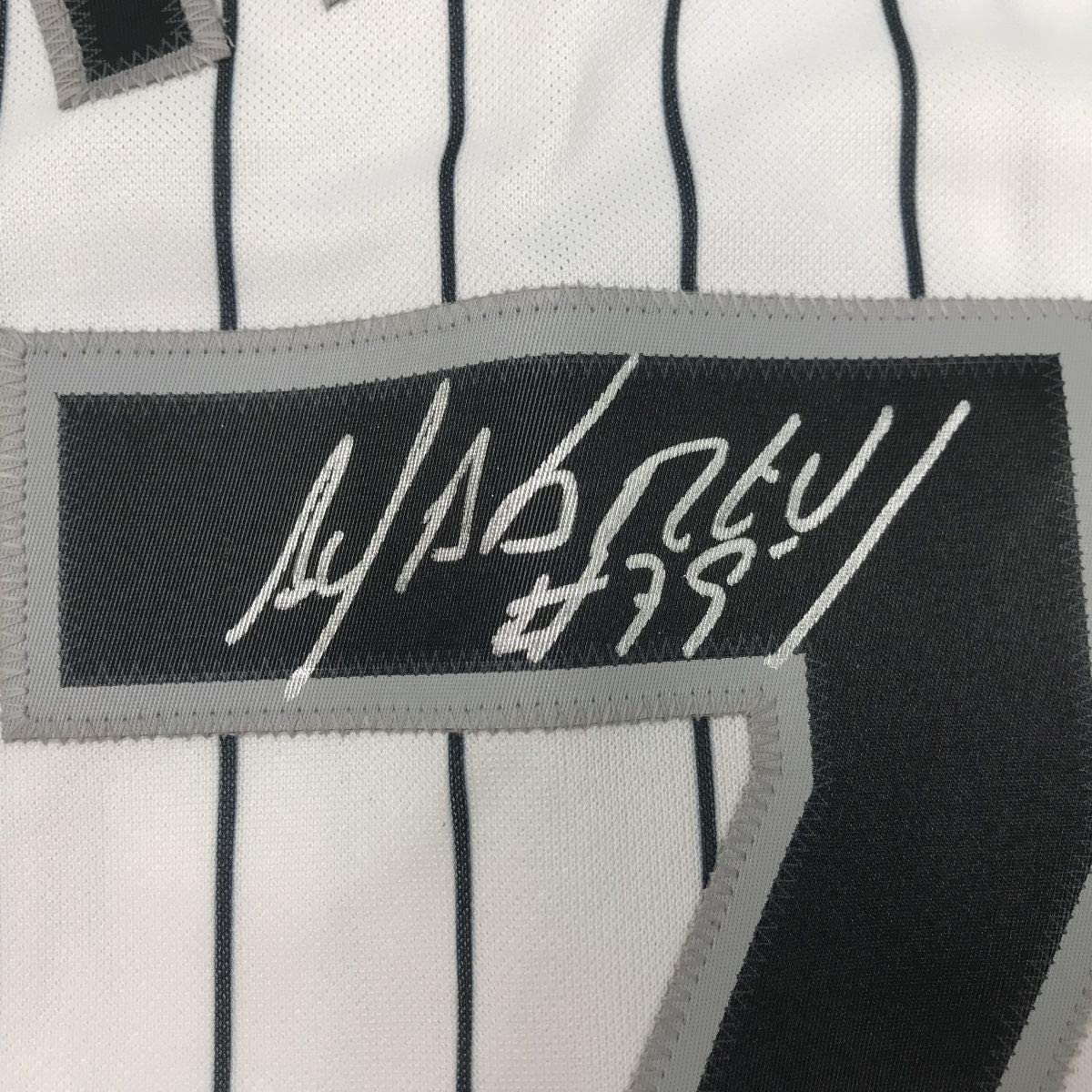 Framed Autographed/Signed Jose Abreu 33x42 Chicago Pinstripe Baseball Jersey PSA/DNA COA