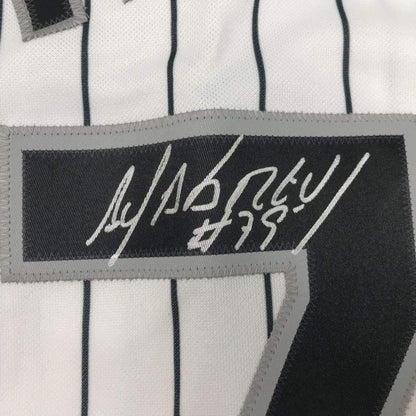 Framed Autographed/Signed Jose Abreu 33x42 Chicago Pinstripe Baseball Jersey PSA/DNA COA