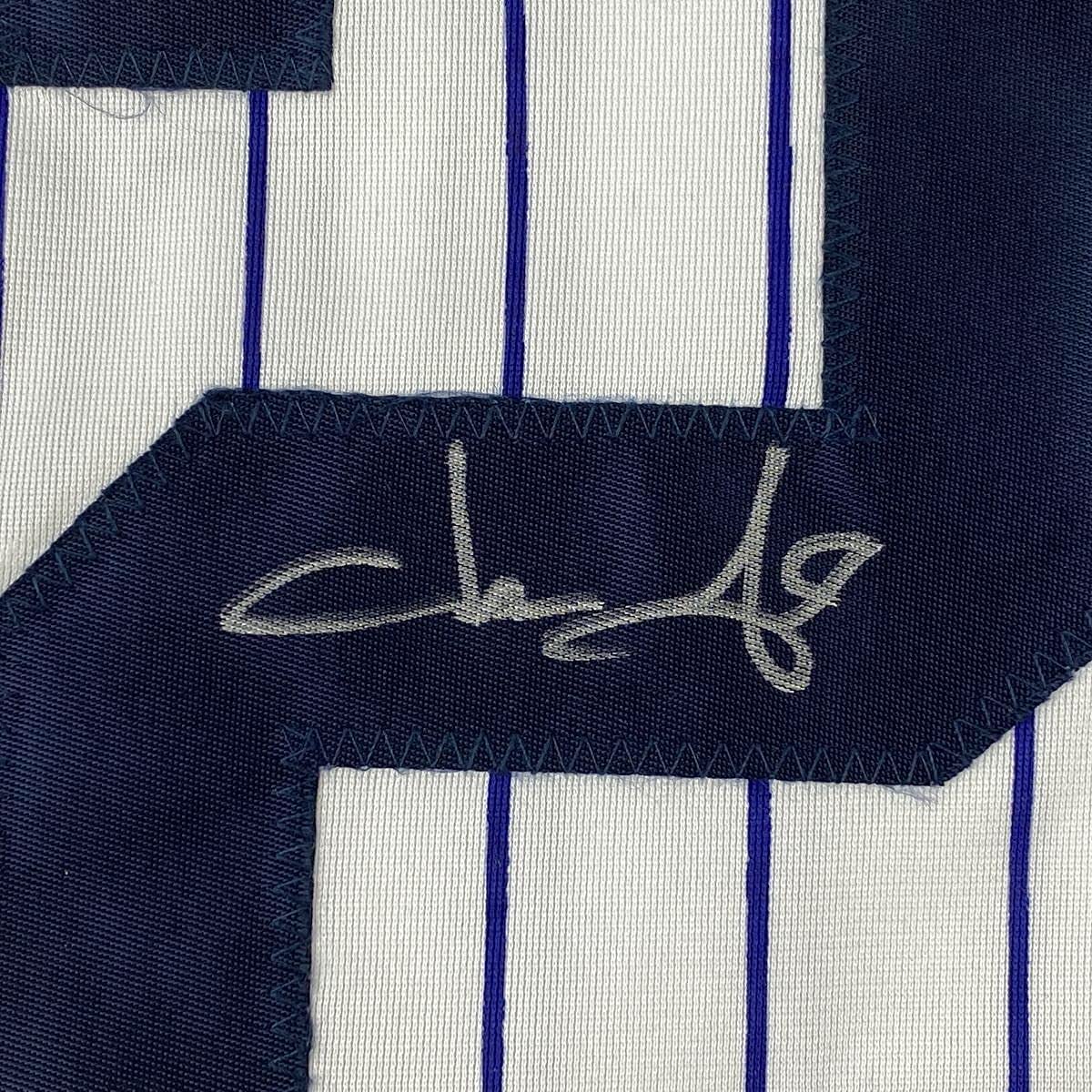 Framed Autographed/Signed Jason Giambi 33x42 New York Pinstripe Baseball Jersey PSA/DNA COA