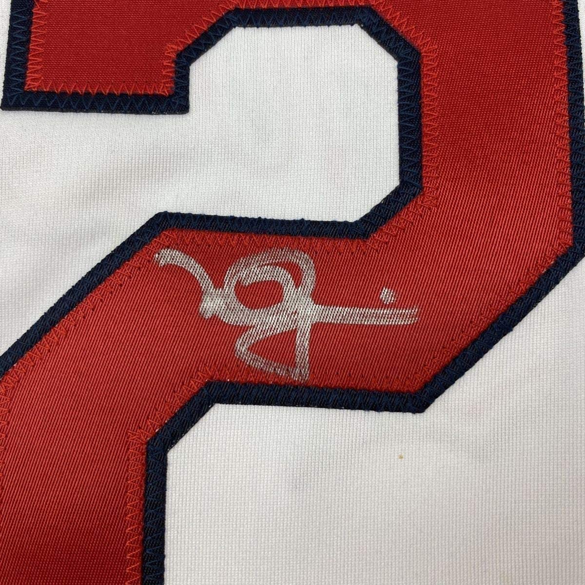 Framed Autographed/Signed Mark McGwire 33x42 St. Louis White Baseball Jersey JSA COA