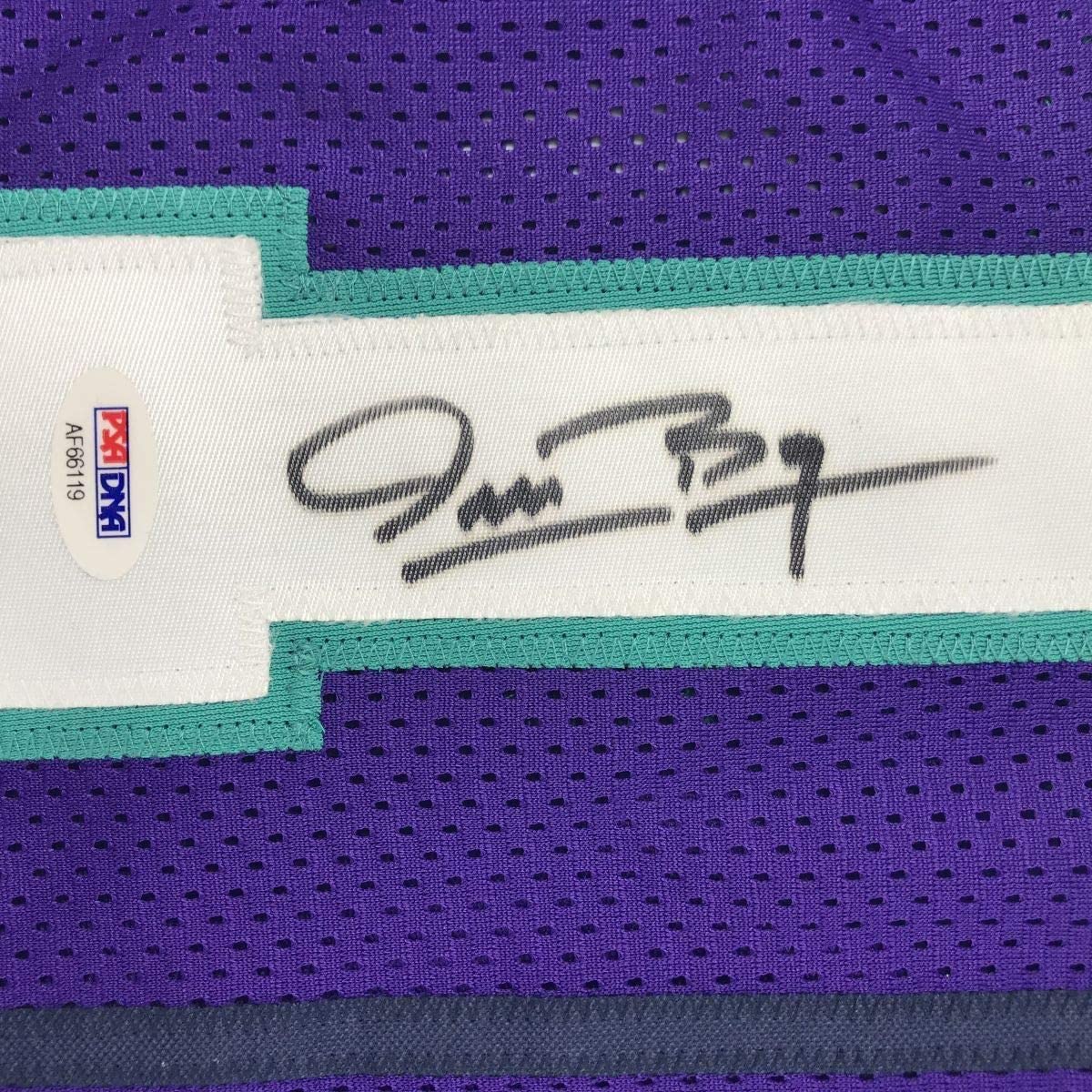 Framed Autographed/Signed Muggsy Bogues 33x42 Charlotte Purple Basketball Jersey PSA/DNA COA
