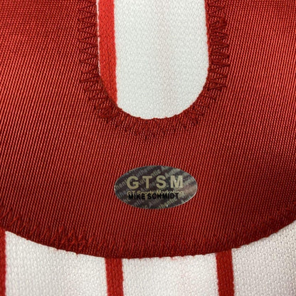 Framed Autographed/Signed Mike Schmidt 33x42 Philadelphia Pinstripe Baseball Jersey GTSM COA Hologram Only