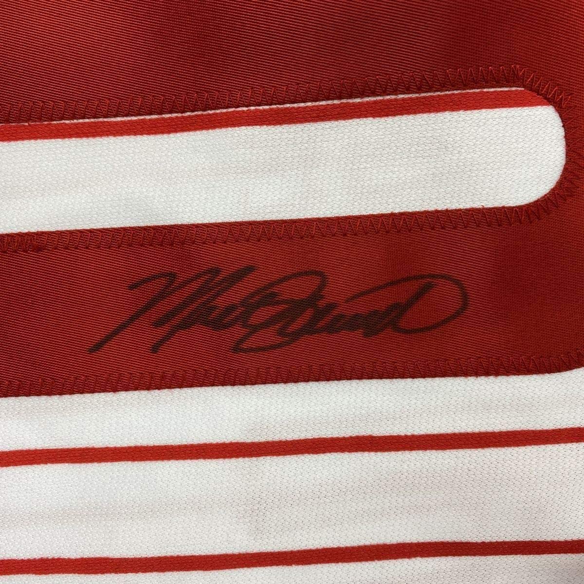 Framed Autographed/Signed Mike Schmidt 33x42 Philadelphia Pinstripe Baseball Jersey GTSM COA Hologram Only