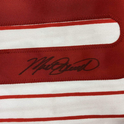 Framed Autographed/Signed Mike Schmidt 33x42 Philadelphia Pinstripe Baseball Jersey GTSM COA Hologram Only