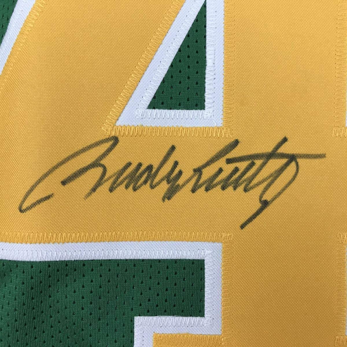 Framed Autographed/Signed Rudy Ruettiger 33x42 Never Quit Notre Dame Green College Football Jersey JSA COA