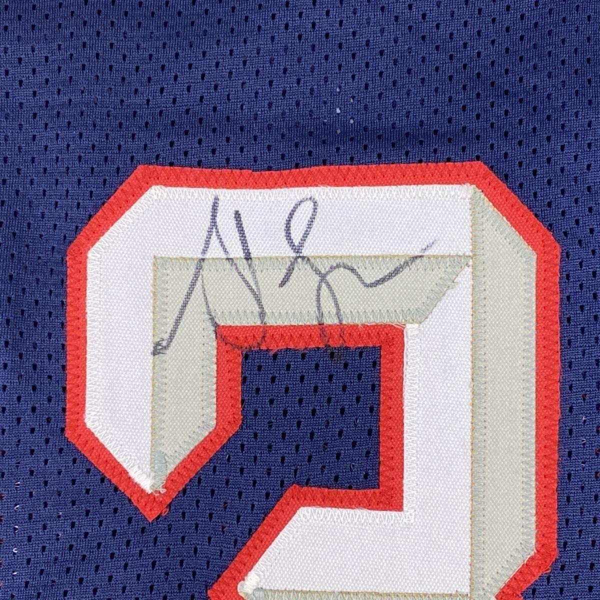 Framed Autographed/Signed Steve Francis 33x42 Houston Blue Basketball Jersey JSA COA