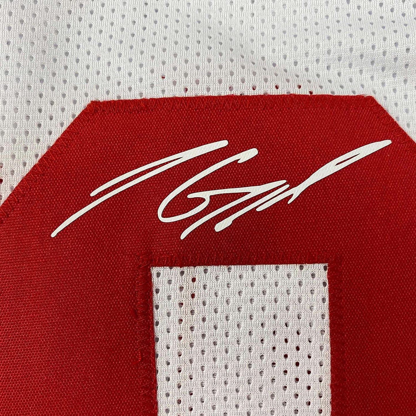 Framed Facsimile Autographed Jimmy Garoppolo 35x39 San Francisco White Reprint Laser Auto Football Jersey